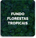 Fundo Florestas Tropicais