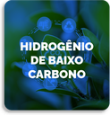 Hidrogênio de Baixo Carbono