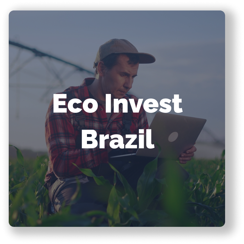 Banner - Eco Invest Brazil