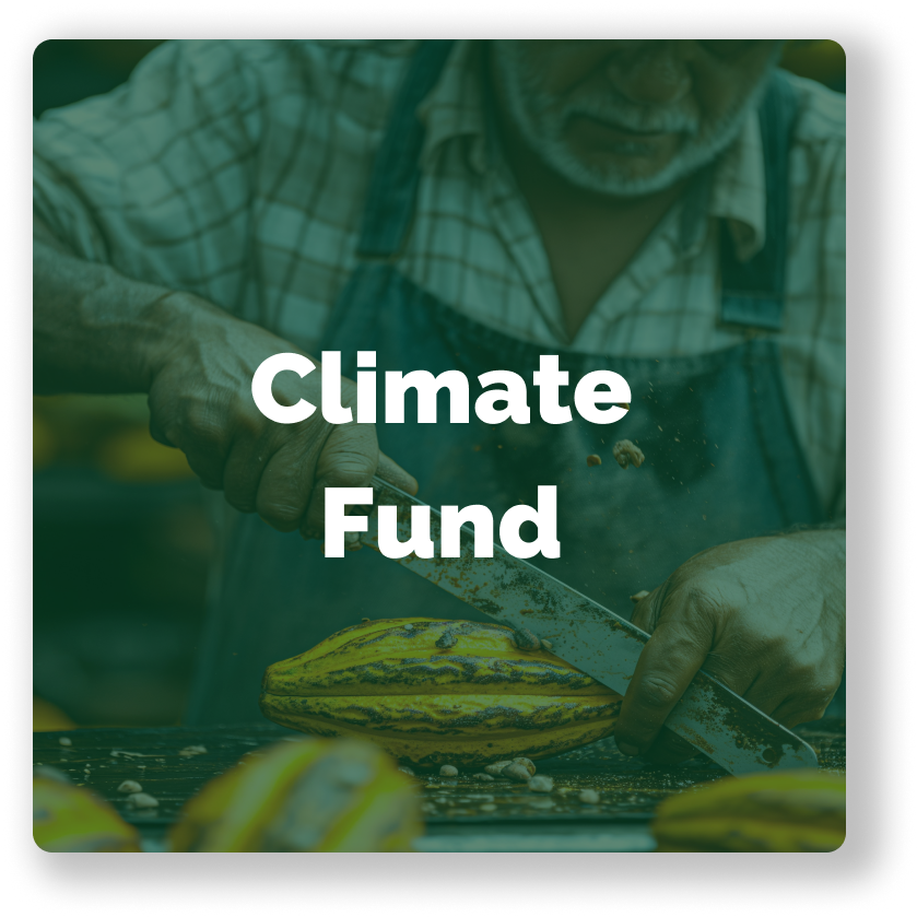 Banner - Climate Fund