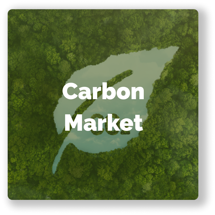 Banner - Carbon Market