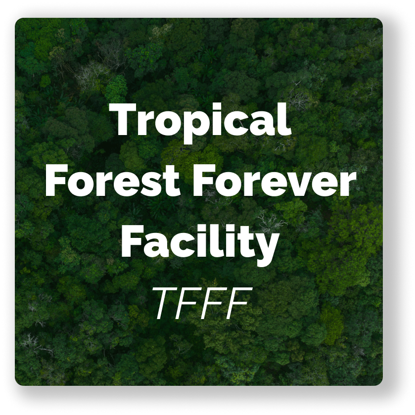 Banner - Tropical Forest Forever Facility TFFF