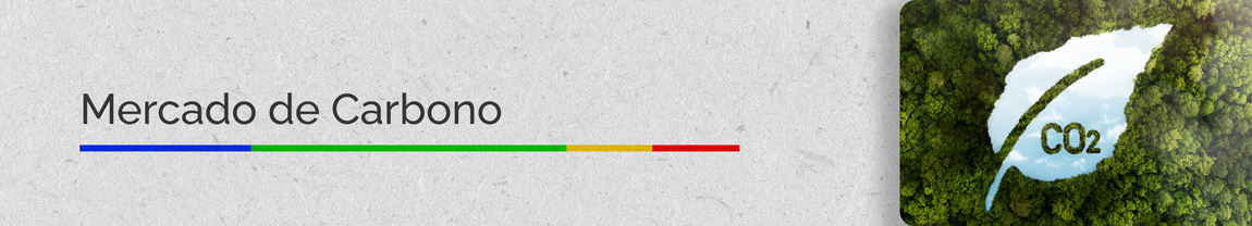 Mercado de Carbono