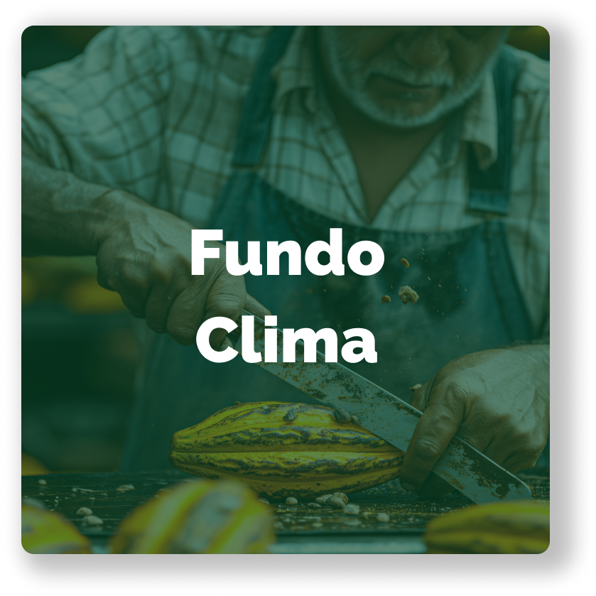 Fundo Clima