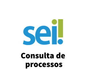 SEI