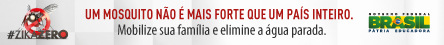 Banner da campanha ZikaZero