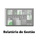 copy_of_relatoriodegestao.png