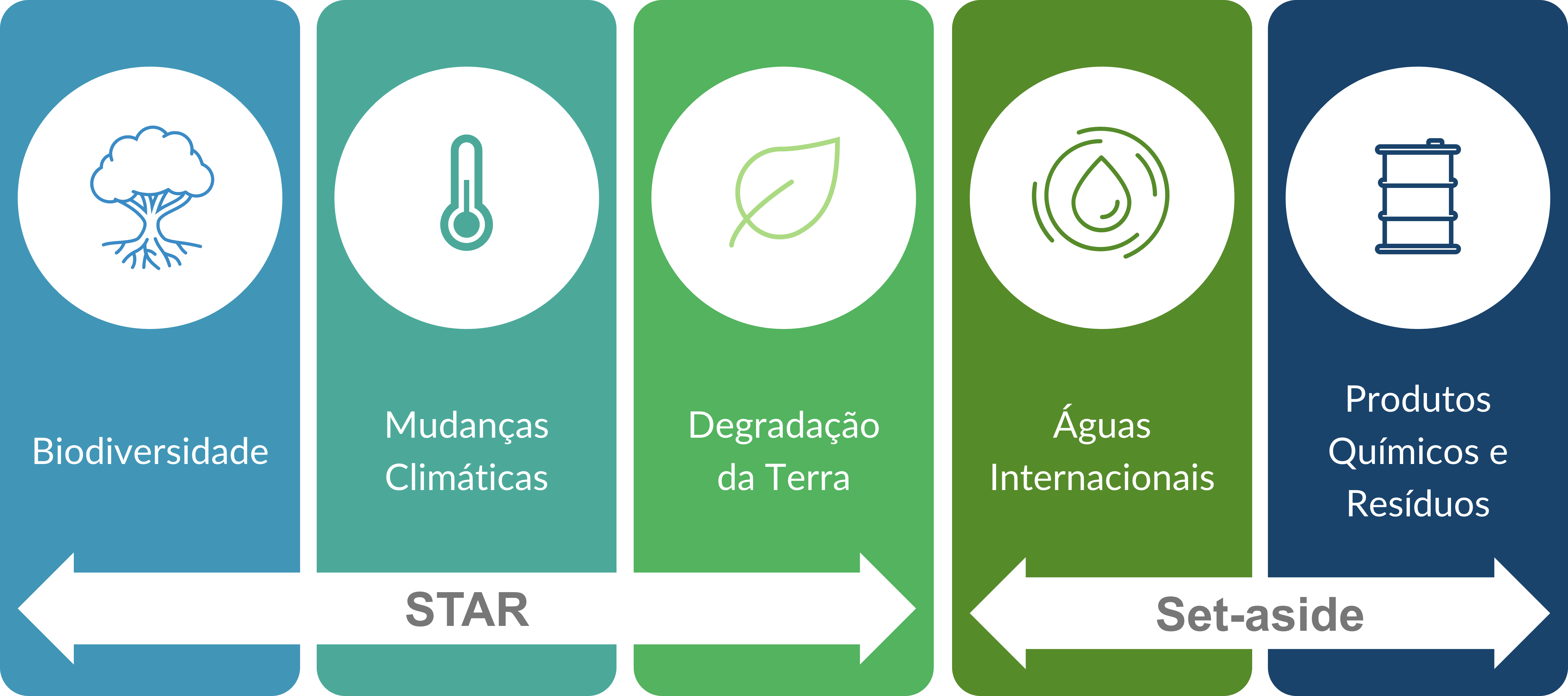 Áreas Focais