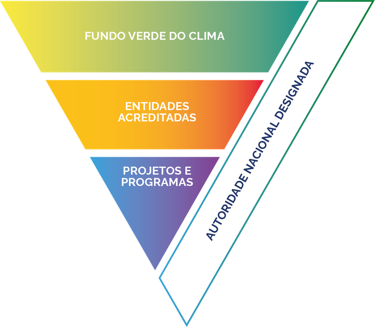 Estrutura Organizacional da Autoridade Nacional Designada