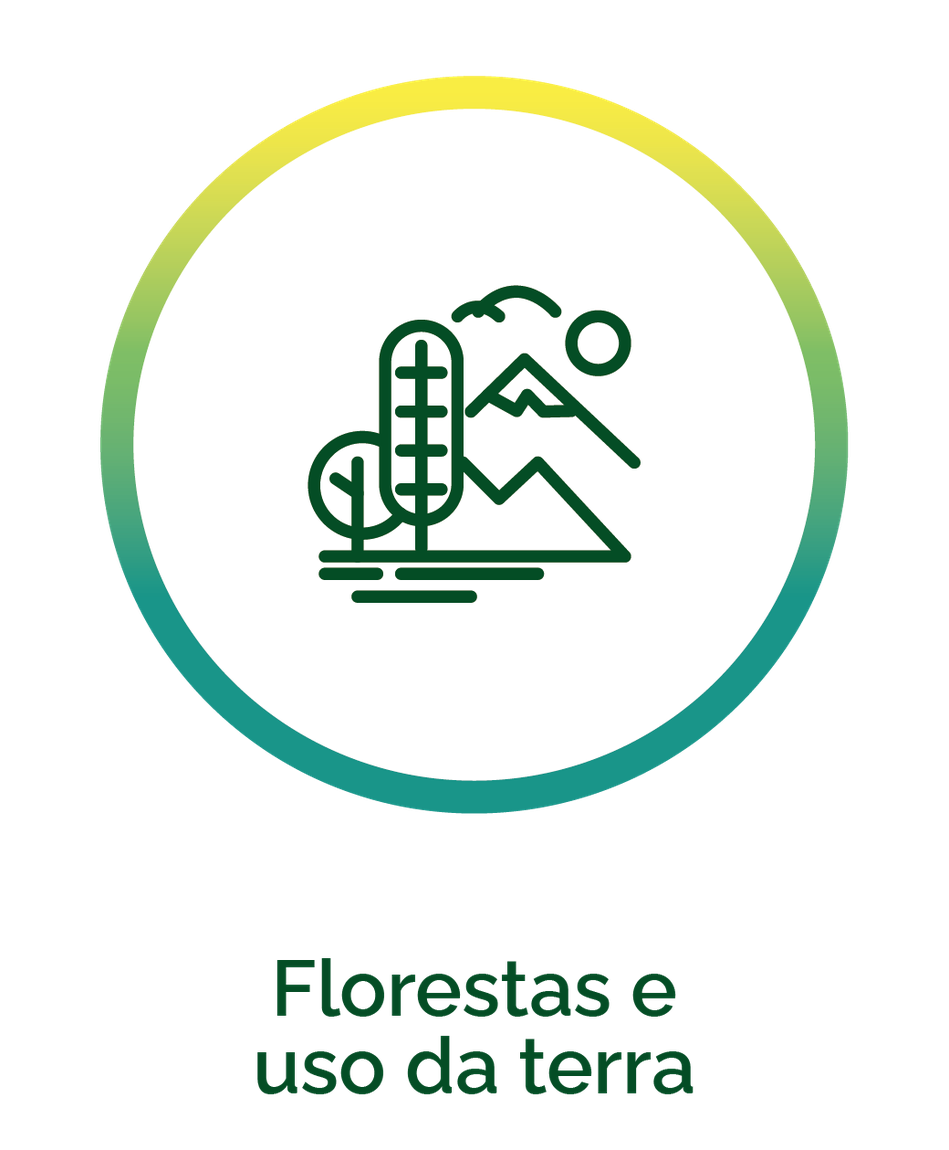 Ícone - Florestas e uso da terra