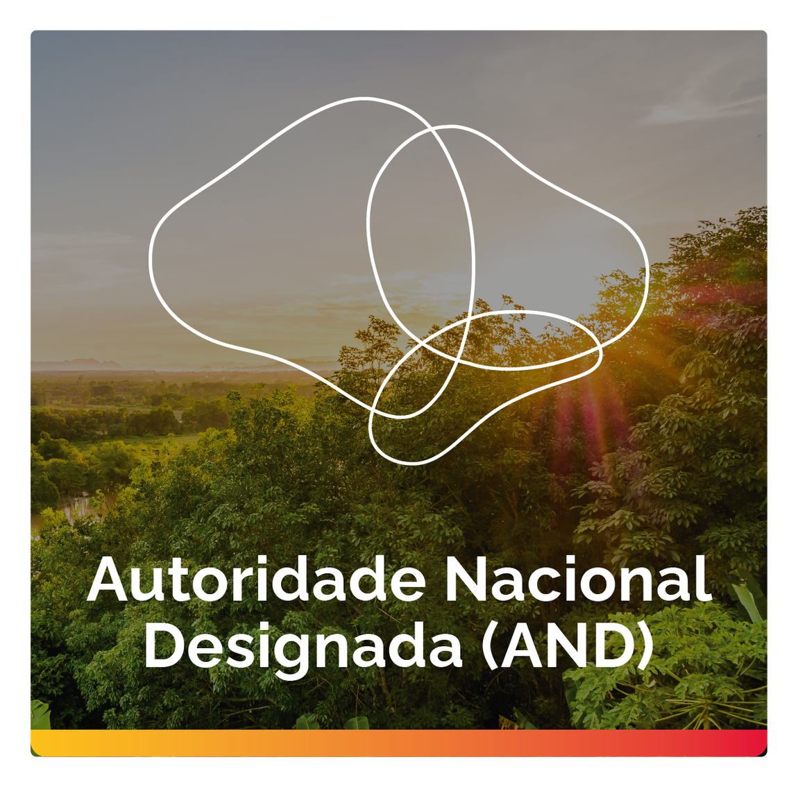 Botão Autoridade Nacional Designada - Página Inicial