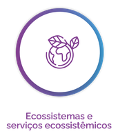 Escossitemas e serviços ecossistêmicos