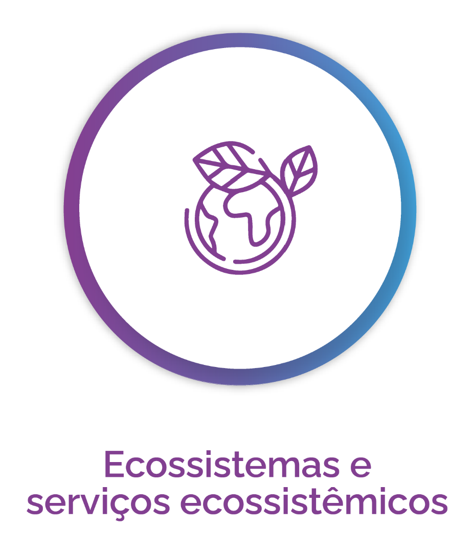 Ecossistemas e serviços ecossistêmicos 1.png