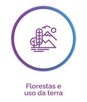 Florestas e uso da terra