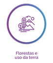Floresta e uso da Terra.png