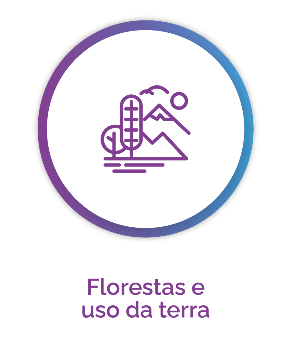 Floresta e uso da Terra.png