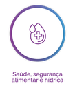 Saúde, segurança alimentar e hídrica 1.png