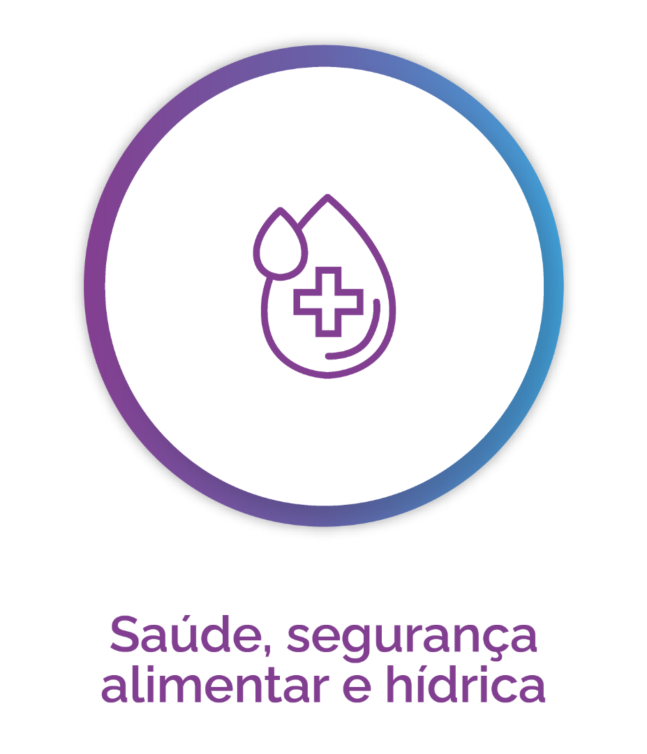 Saúde, segurança alimentar e hídrica 1.png