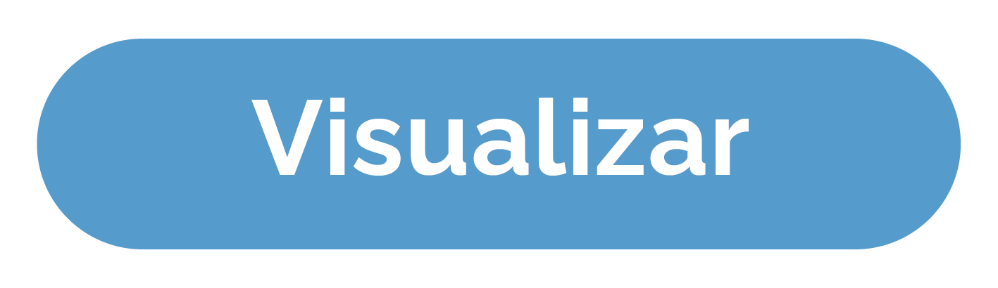 Botão Visualizar.png