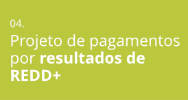 6-seu-projeto-00_01_05.png