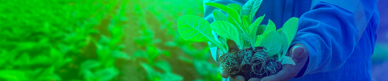 Prioridades do Brasil -Agriculturas e Florestas-Att.png