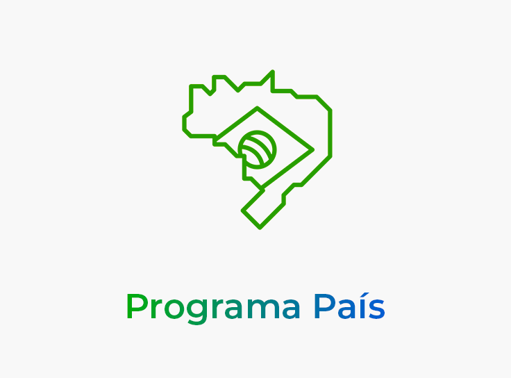 Programa país.png