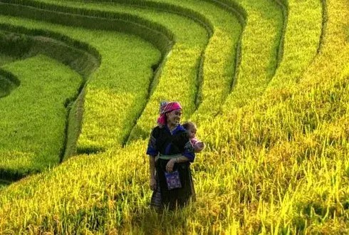 Imagem ilustrativa sobre o tema "Programa Natureza, Povos e Clima (NPC)"