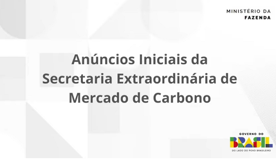 mercado carbono.png