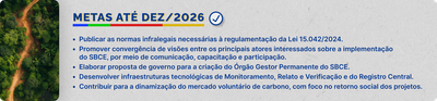 Banner MC-Metas.png