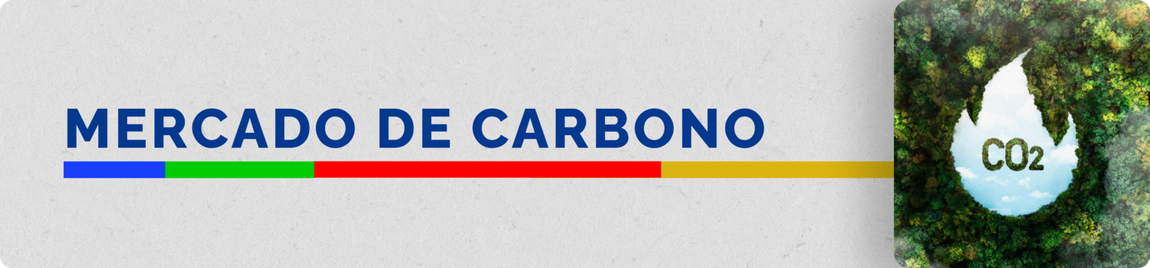 Mercado de Carbono