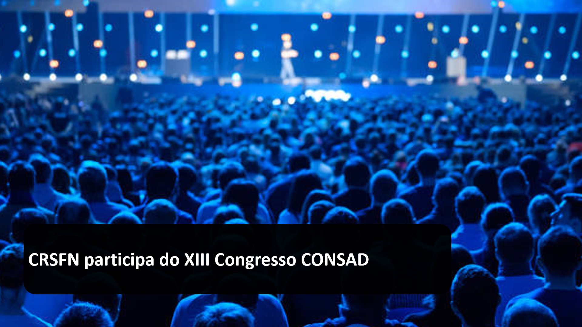 CRSFN participa do XIII Congresso CONSAD