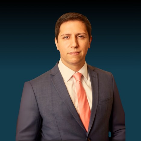 Vicente Piccoli Medeiros Braga.jpg