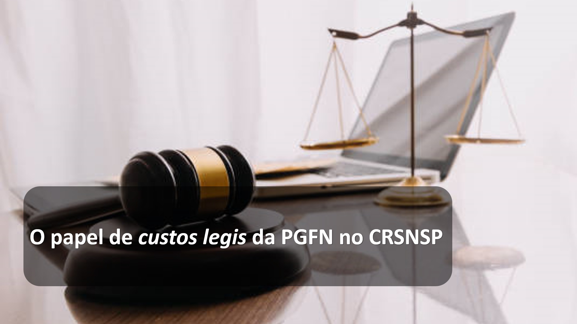 O papel de custos legis da PGFN no CRSNSP