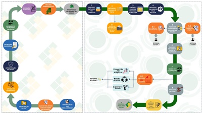 Trâmite processual SUSEP - CRSNSP - v2.jpg