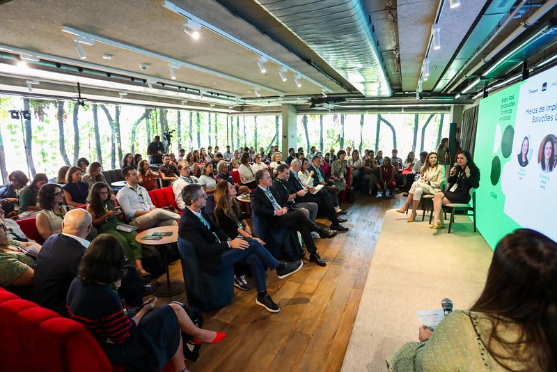 Sustentabilidade é o caminho da paz e da prosperidade, afirma secretária do Mercado de Carbono