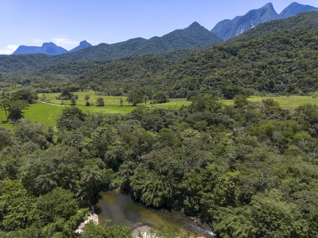 2º Leilão do Eco Invest destina R$ 100 milhões à recuperação de áreas da Mata Atlântica