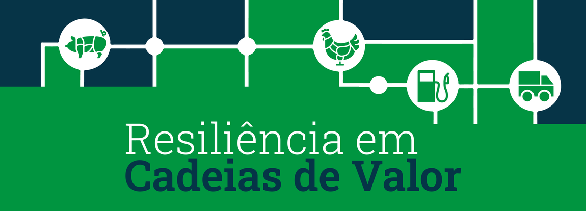 Banner - GT Resiliência em Cadeias de Valor