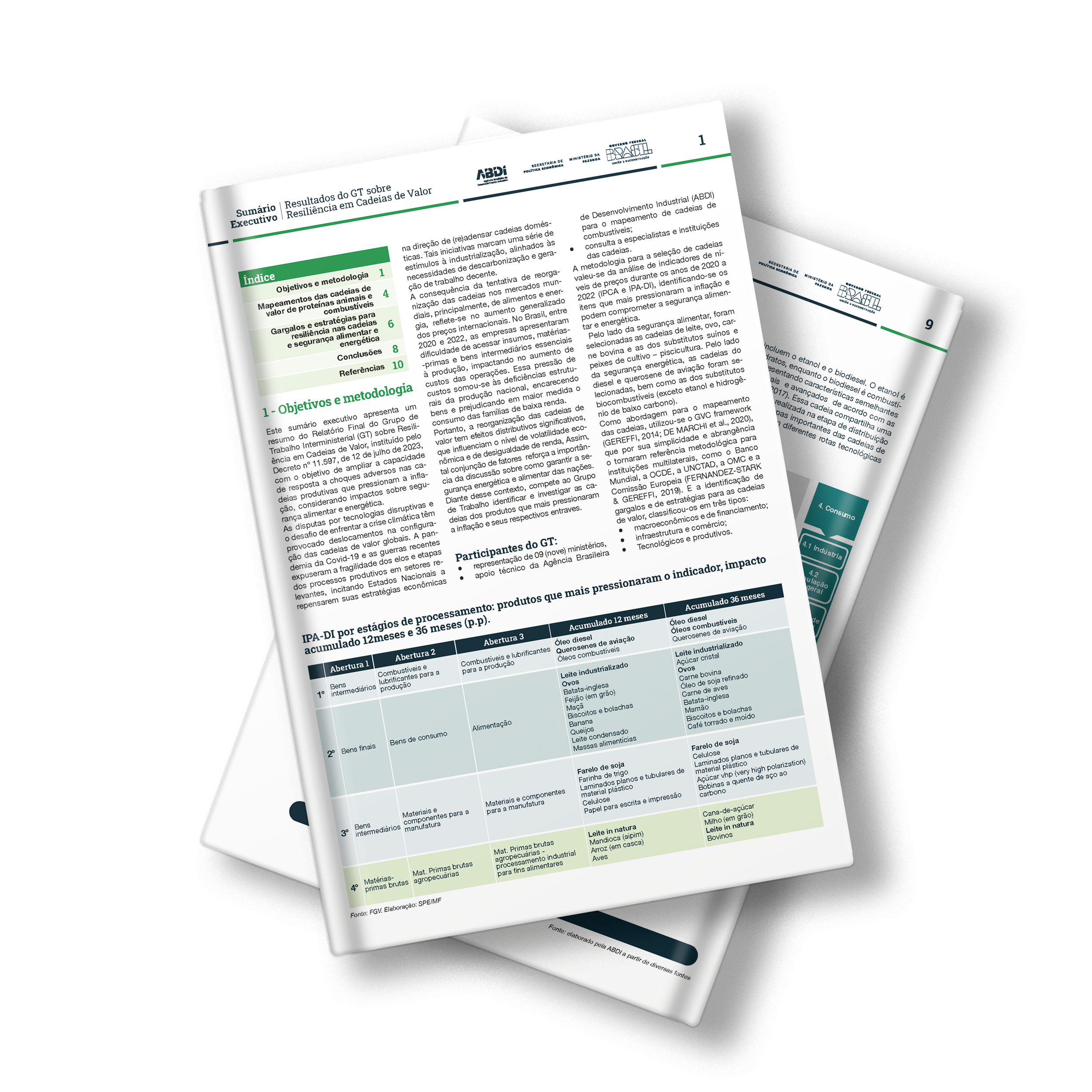 Sumário Executivo - Cadeias de Valor