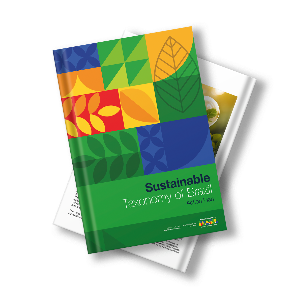 Publicação Taxonomia Sustentável Brasileira