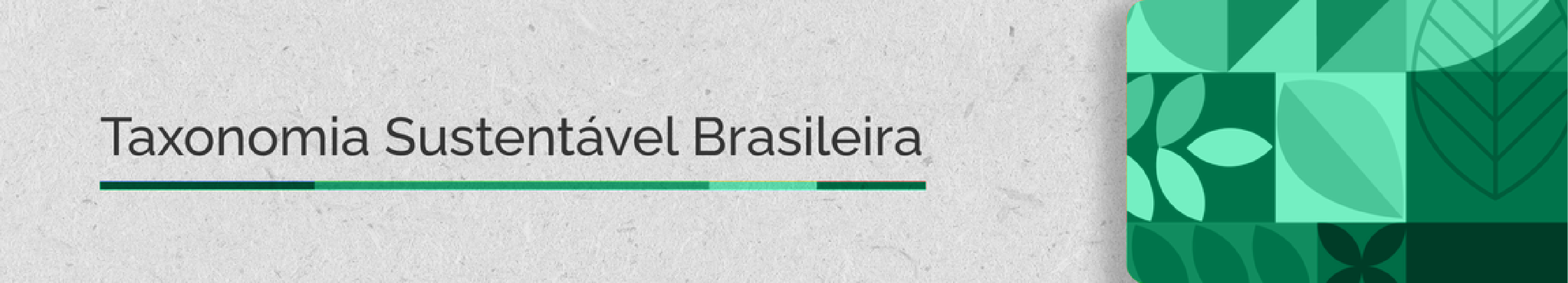 Cadernos da Taxonomia Sustentável Brasileira
