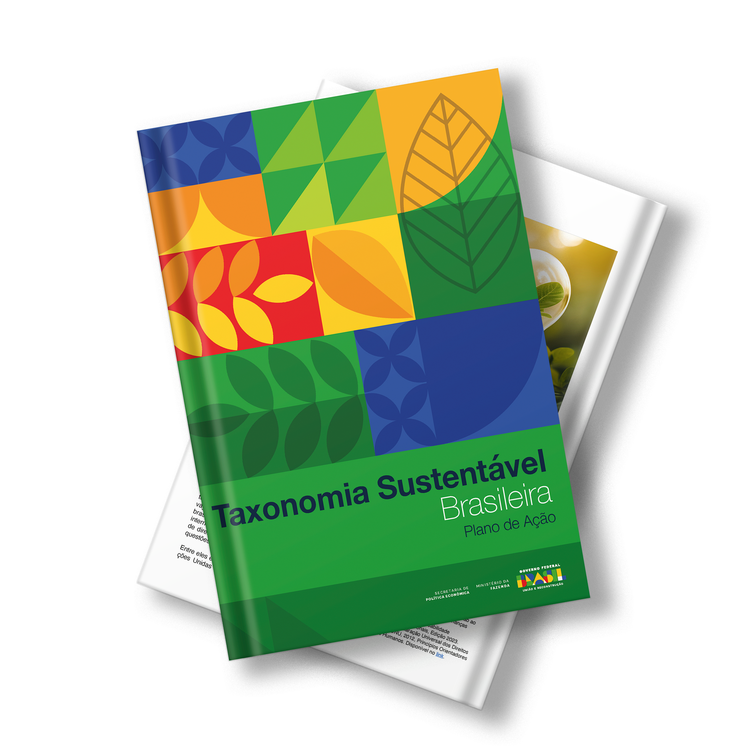 Publicação Taxonomia Sustentável Brasileira