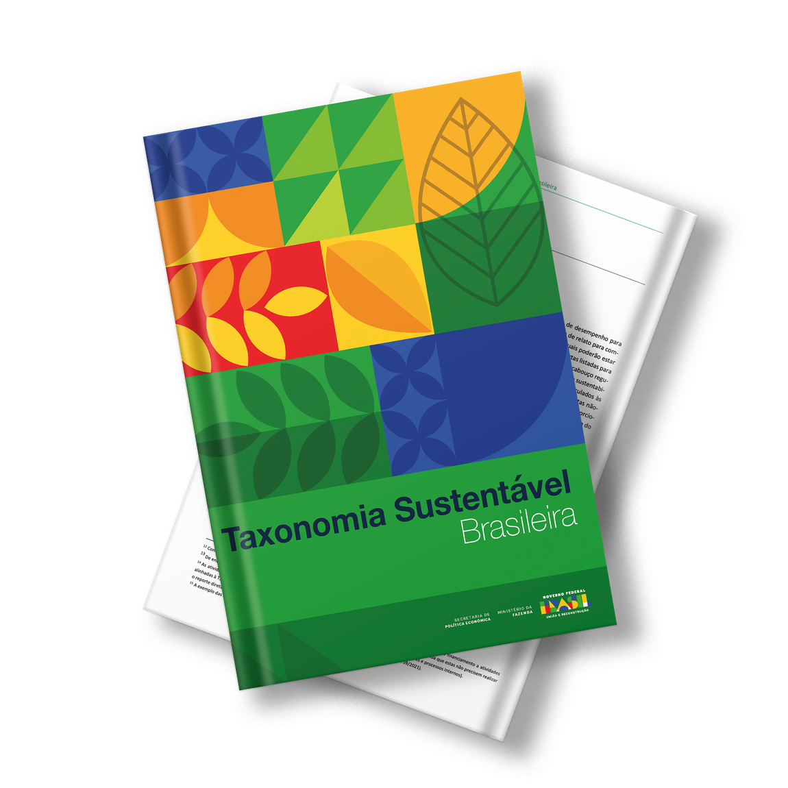 Publicação Taxonomia Sustentável Brasileira