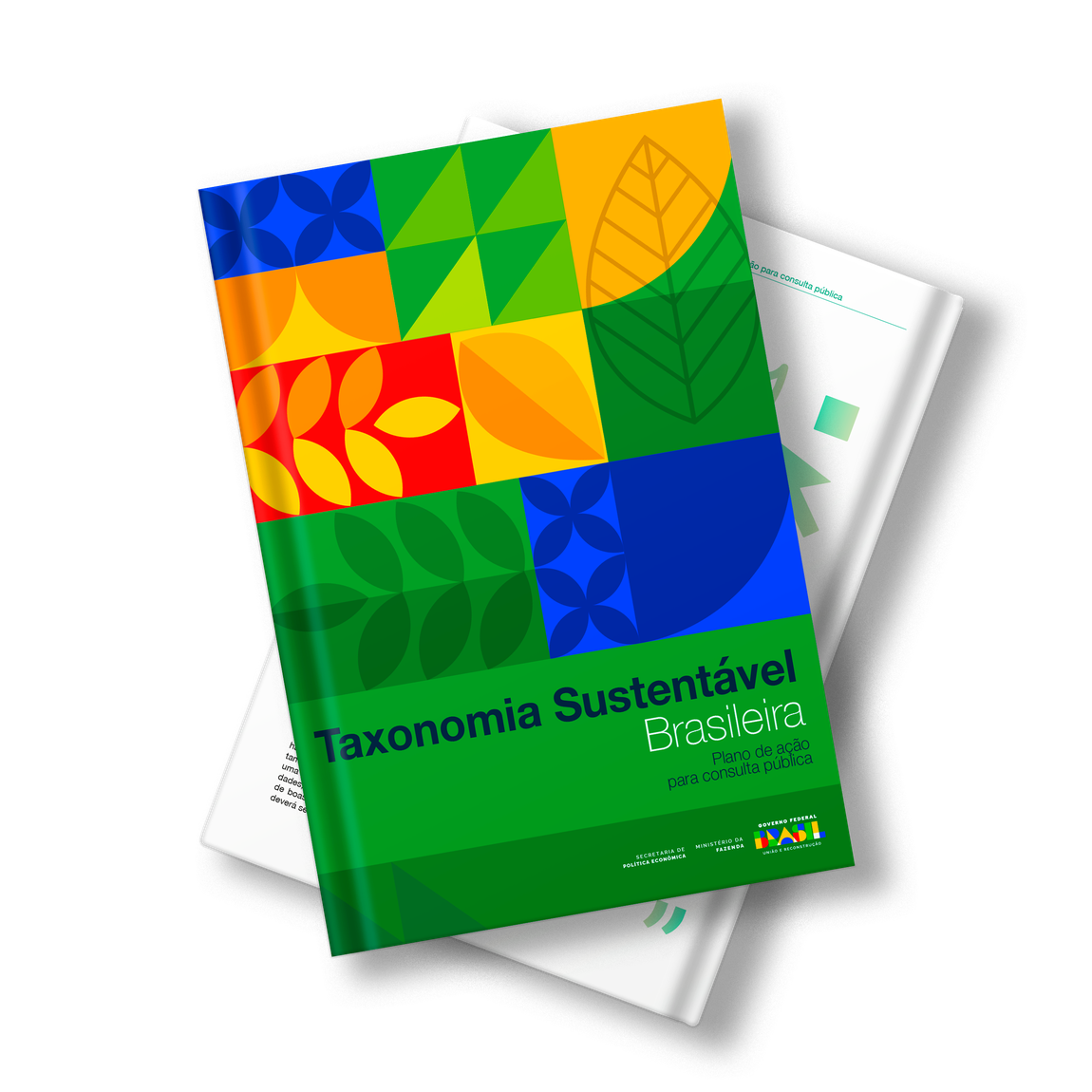 Publicação Taxonomia Sustentável Brasileira