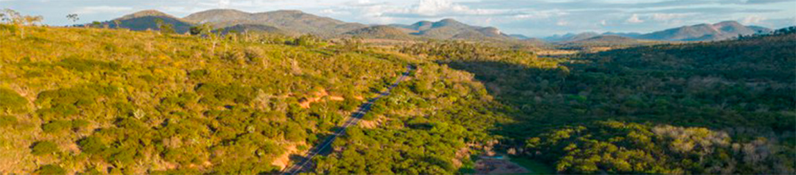 Fotografia panorâmica aérea de uma paisagem natural. Uma estrada asfaltada corta a vegetação verde e