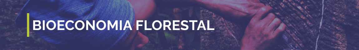 Banner com fundo fotográfico florestal e o texto “Bioeconomia Florestal” em letras brancas.