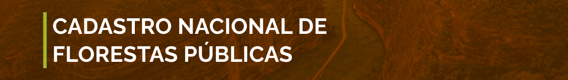Banner com fundo marrom e o texto “Cadastro Nacional de Florestas Públicas” em letras brancas.