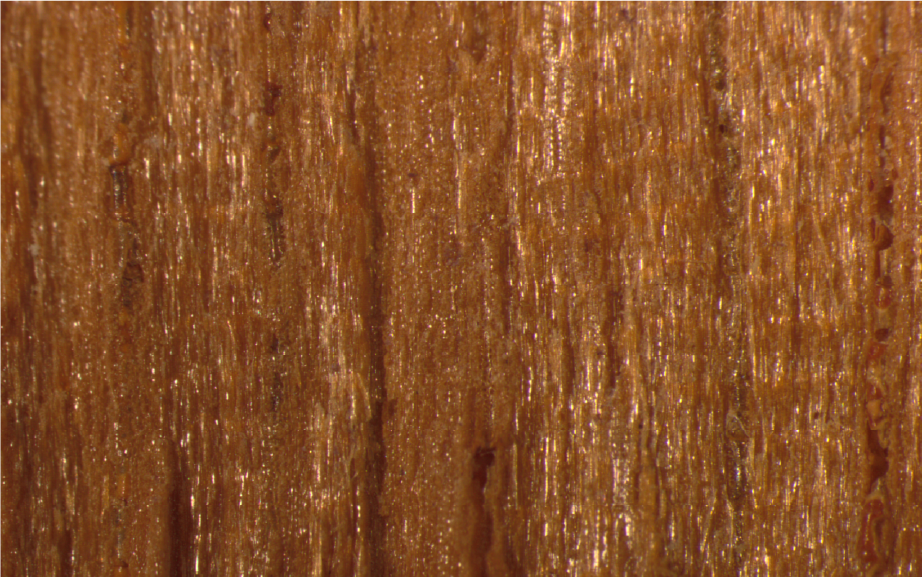 Foto de amostra da madeira tamarindo