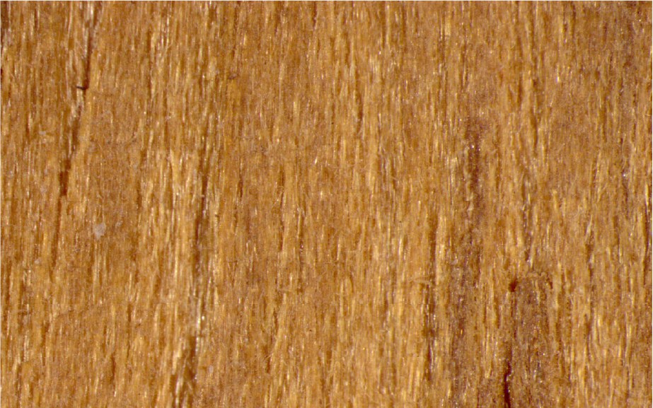 Foto de amostra da madeira mirindiba