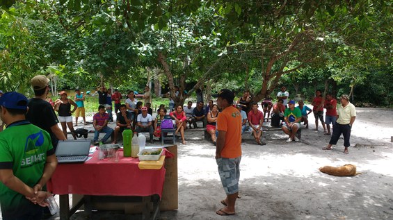 Reunião comunitária ao ar livre, realizada sob a sombra densa de grandes árvores.