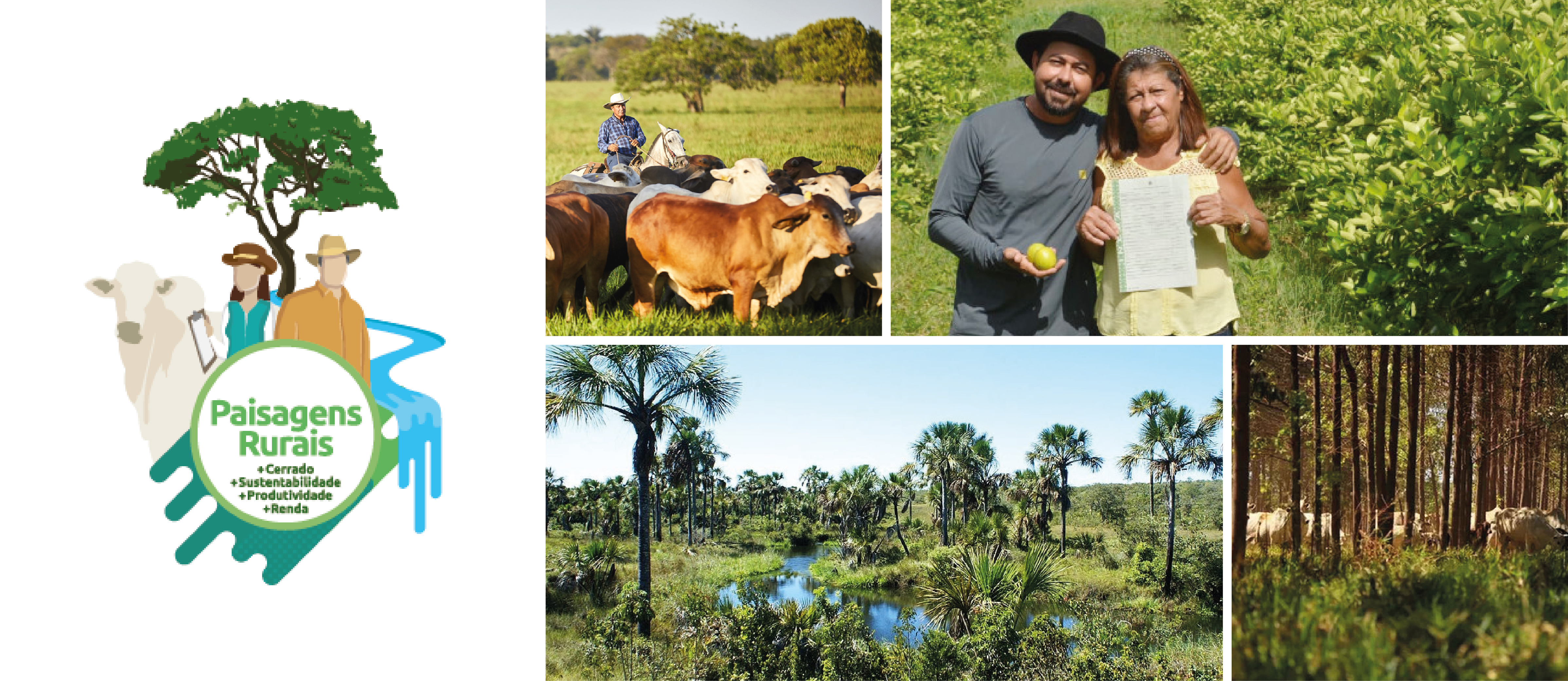 Projeto FIP Paisagens Rurais